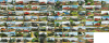 119/02 POHLADNICE r�zne
