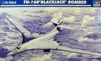 13/FD3906 TU-160 Blackjack