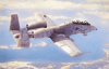 N-AW  A-10A Thunderbolt II