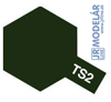 TS2*Dark Green*SprayTAMI-100ml