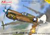 Curtis P-40E Warhawk*49th FigG