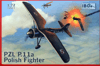 PZL P_11a*Polish Fighter(3xCam
