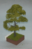 53/002 Listnatý strom /10 cm