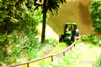 54/14606 Papradie * 18 rastl�n