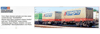 Sgns* DSB IV-Vep* SCANSPED *