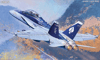 F_A-18D *USMC*VMFA(AW)-225Viki