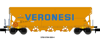 Tagnpps101m3*I-RAILV*VERONESI*
