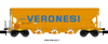 Tagnpps101m3*I-RAILV*VERONESI*