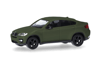BMW X6  Titan-Silver (matt)
