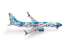 Boeing 737-800 *Xat Kwaani