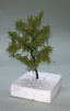 53/009 Listnat strom * 9 cm*