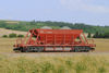 Facc_Sav10(typ28)*SD III-IVep